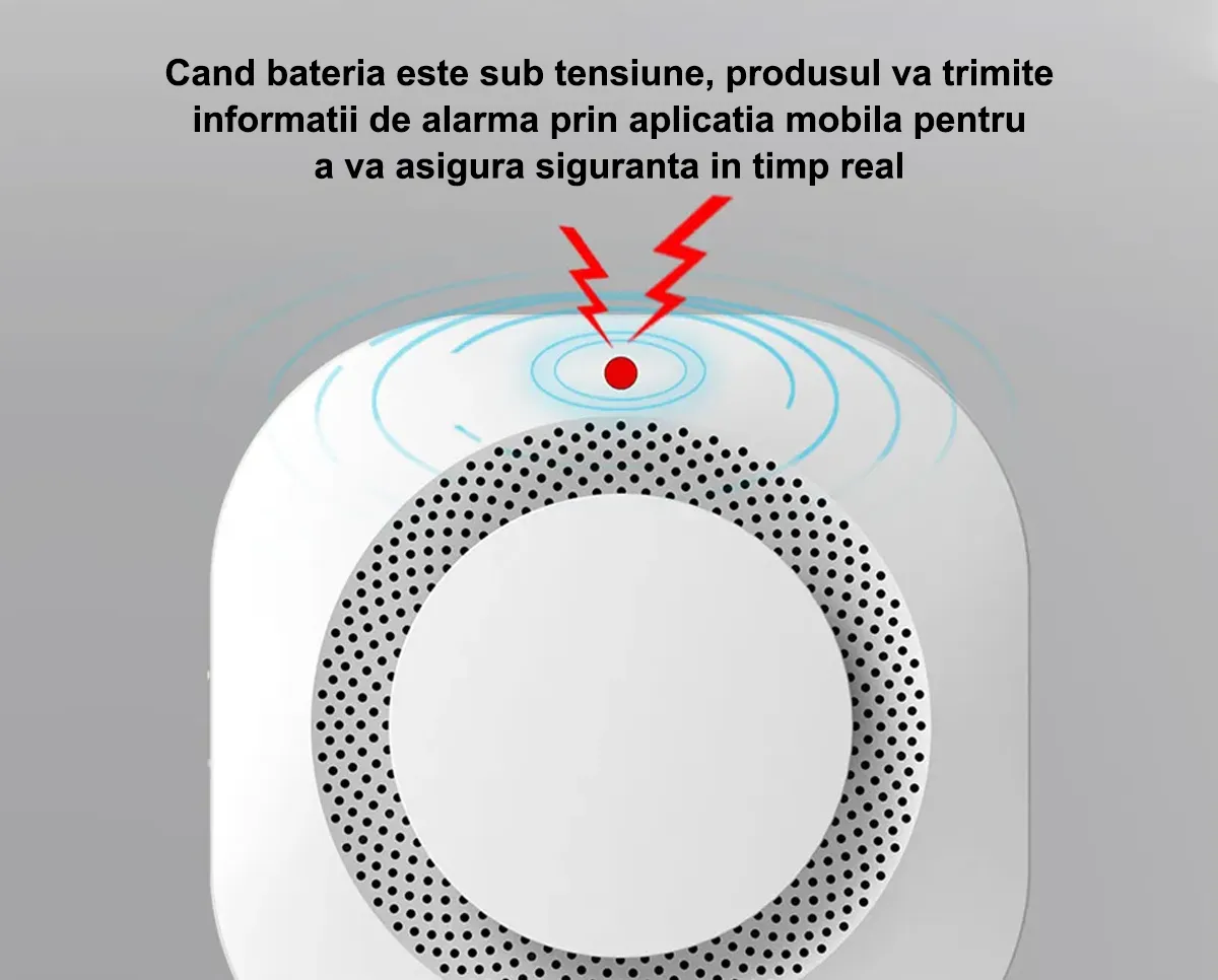 Detector-fum-inteligent-d12.png