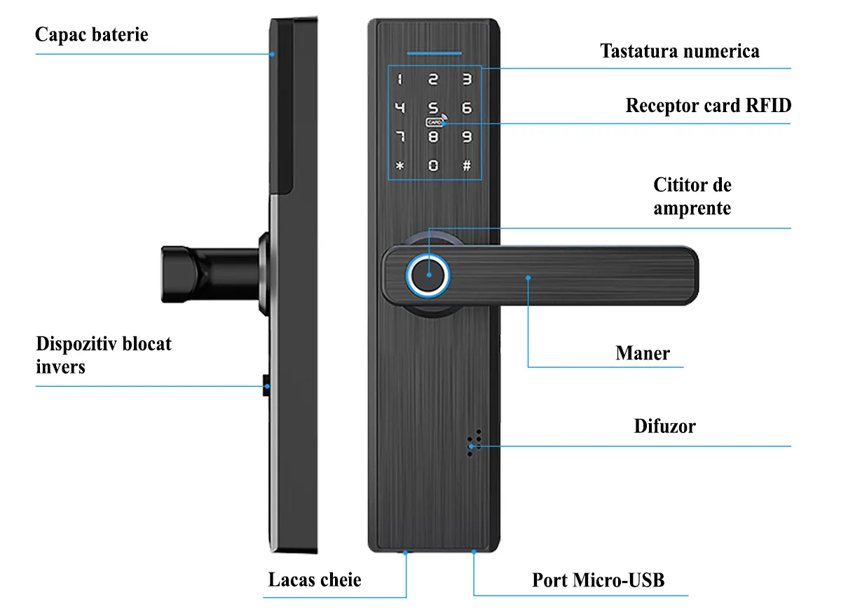 yala-inteligenta-broasca-smart-wifi-d12.jpg