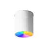Spot de tavan pliabil si dimabil LED 12W, Smart WiFi, RGB, 3000K-6500K, IP44, 960lm, compatibil Tuya/SmartLife
